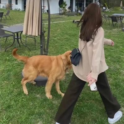 叶问3